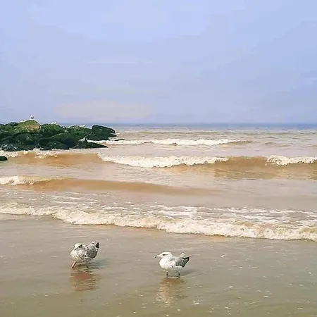 Seagull 302 With Beautiful Sea Views Lejlighed *